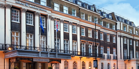 The Hilton